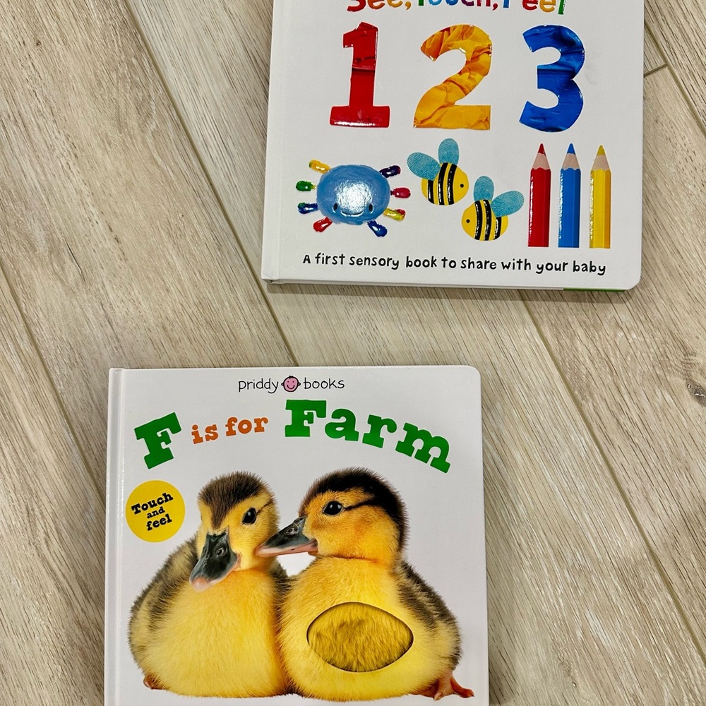 Baby Touch & Feel Board Book